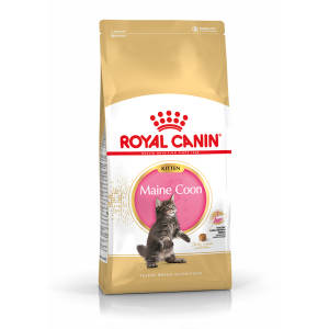 Royal Canin Maine Coon Kitten Dry Cat Food